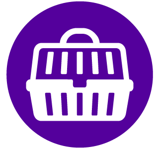 Multiple Pets? | Requirements